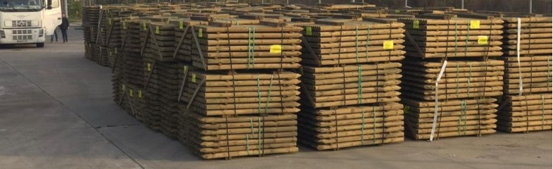 Olive tree stakes for sale |Viveros Santa Maria Luisa